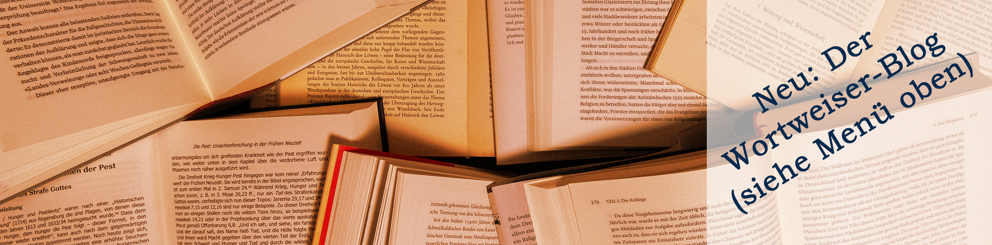 Aufgeschlagene Bücher; Bild: Michael Schnell
